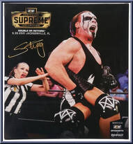 Sting from AEW - Unrivaled - Supreme manufactured by Jazwares [Back]