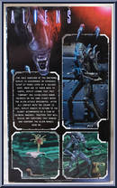 Alien Warrior (Blue) from Aliens - Ultimate Collection manufactured by Neca [Back]