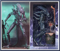 Alien Warrior (Blue) from Aliens - Ultimate Collection manufactured by Neca [Front]