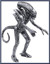 Warrior Alien Action Figure