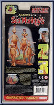 Brother & Sister from Amazing Live Sea Monkeys - Basic Series manufactured by Majestic Studios [Back]
