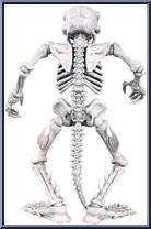 Rat Bones from Battletoads - Basic Series manufactured by Premium DNA [Loose]