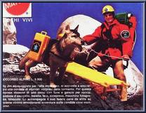 Avalanche Patrol (Mountain Rescue) Action Figure