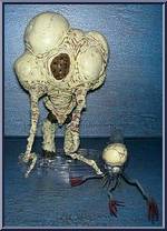 Flood Carrier Form Action Figure