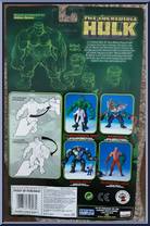 Hulk (Gamma Punch) from Hulk Classics - Series 2 manufactured by Toy Biz [Back]
