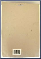 Insect Man (Green / Blue Helmet) from Insect Man - Basic Series manufactured by Unknown [Back]