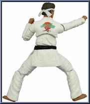 Daniel LaRusso from Karate Kid - Basic Series manufactured by Icon Heroes [Loose]