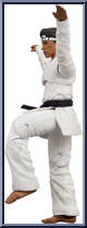 Daniel LaRusso (All Valley Champion) from Karate Kid - Basic Series manufactured by Icon Heroes [Loose]