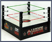 Ring Playset Action Figure
