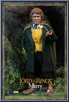 Merry Action Figure