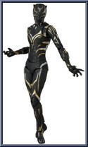 Black Panther (Wakanda Forever) #275