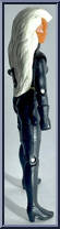 Storm from Marvel - Hall of Fame - She-Force - Series 1 manufactured by Toy Biz [Loose]