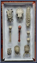 Trophy Skulls Action Figure