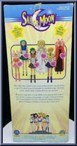 Wicked Lady from Sailor Moon - 11.5" Deluxe Adventure Dolls manufactured by Irwin Toys [Back]
