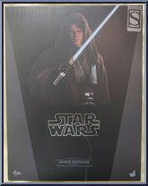 Anakin Skywalker Dark Side from Star Wars - Revenge of the Sith manufactured by Hot Toys [Front]