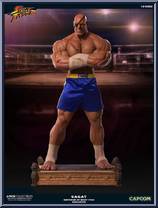 Sagat (Emperor of Muay Thai EX) from Street Fighter - Basic Series manufactured by Pop Culture Shock Collectibles [Loose]