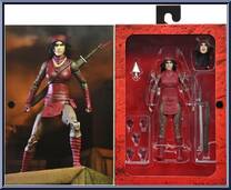Karai from Teenage Mutant Ninja Turtles - Last Ronin manufactured by Neca [Front]