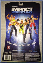 Rob Van Dam from TNA - Deluxe impact! - Series  8 manufactured by Jakks Pacific [Back]