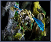 Insecticon from Transformers - Hunt for the Decepticons - Scouts manufactured by Hasbro [Loose]