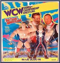 Blue Bloods from WCW - Tag Team - Series 3 manufactured by Original San Francisco Toymakers [Front]