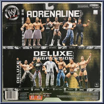 Rory McAllister / Robbie McAllister from WWE Adrenaline - Series 26 manufactured by Jakks Pacific [Back]