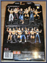 Cody Rhodes from WWE Deluxe Aggression - Series 13 manufactured by Jakks Pacific [Back]