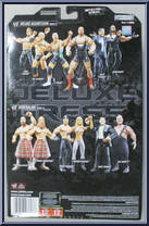 Chris Jericho from WWE Deluxe Aggression - Series 15 manufactured by Jakks Pacific [Back]
