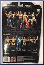 Rey Mysterio from WWE Deluxe Aggression - Series 21 manufactured by Jakks Pacific [Back]
