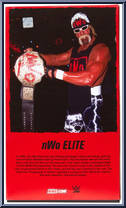 Hollywood Hulk Hogan from WWE Elite Collection - Exclusives manufactured by Mattel [Back]