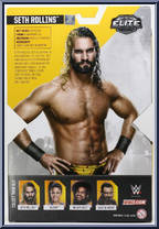 Seth Rollins from WWE Elite Collection - NXT Take Over 1 manufactured by Mattel [Back]