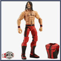 Seth Rollins from WWE Elite Collection - Summer Slam - 2018 manufactured by Mattel [Loose]