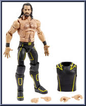 Seth Rollins from WWE Elite Collection - Top Picks - 2020 manufactured by Mattel [Loose]