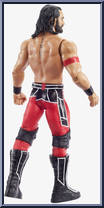 Seth Rollins from WWE - Series 116 manufactured by Mattel [Loose]