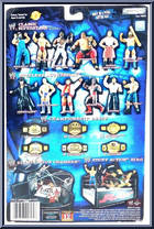 Rob Van Dam from WWE Off the Ropes - Series  7 manufactured by Jakks Pacific [Back]
