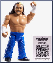 Matt Hardy Action Figure