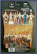 Matt Striker from WWE Ruthless Aggression - Series 22 manufactured by Jakks Pacific [Back]