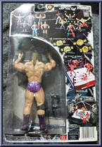 Triple H from WWE Ruthless Aggression - Series  6 manufactured by Jakks Pacific [Back]