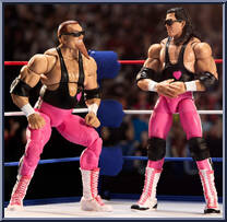 Bret Hit Man Hart / Jim The Anvil Neidhart Action Figure
