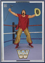 Hulk Hogan / Terry Funk from WWE Ultimate Edition - Coliseum Collection manufactured by Mattel [Back]