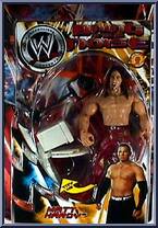 Matt Hardy Action Figure