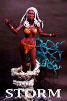 Storm (X-Men) Custom Action Figure