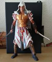 Aquilus Assassins Creed (Assassin's Creed) Custom Action Figure