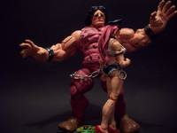 Hugo and Poison HWA (Street Fighter) Custom Action Figure